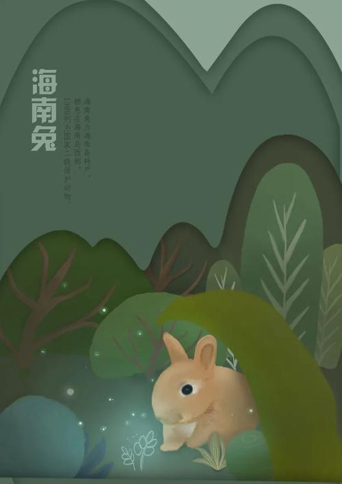 2020第三届国际大学生旅游文化创意设计大赛获奖作品